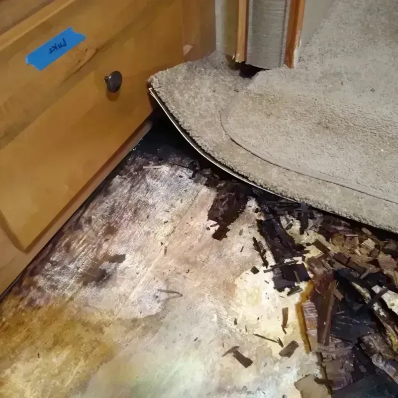 Wood Floor Water Damage in Cheverly, MD